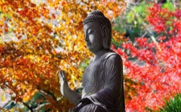 Chớ khinh chê điều thiện
